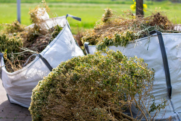 Best Construction Debris Removal  in Posen, IL